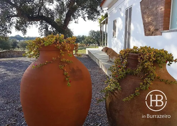 Herdade Do Burrazeiro Turismo Rural No Alentejo